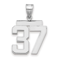 14kw Medium Polished Number 37 Charm