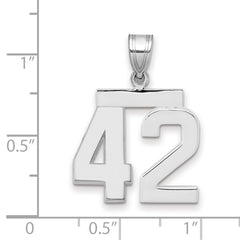 14kw Medium Polished Number 42 Charm