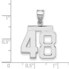 14kw Medium Polished Number 48 Charm