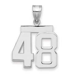 14kw Medium Polished Number 48 Charm