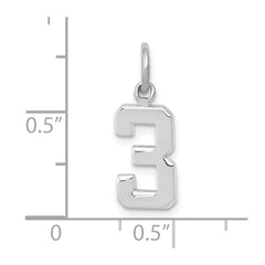 14kw Small Polished Number 3 Charm