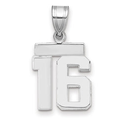 14kw Small Polished Number 16 Charm