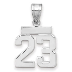 14kw Small Polished Number 23 Charm