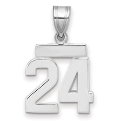 14kw Small Polished Number 24 Charm