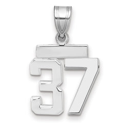 14kw Small Polished Number 37 Charm