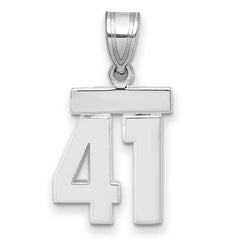 14kw Small Polished Number 41 Charm