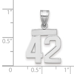 14kw Small Polished Number 42 Charm