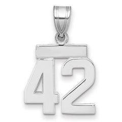 14kw Small Polished Number 42 Charm
