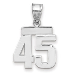 14kw Small Polished Number 45 Charm