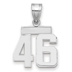 14kw Small Polished Number 46 Charm