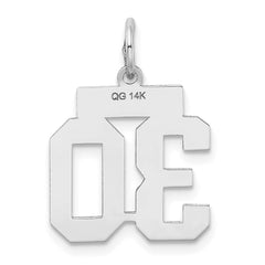 14kw Small Satin Number 30 Charm