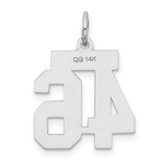 14kw Small Satin Number 46 Charm