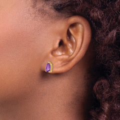 14k 9x6mm Pear Amethyst Earrings