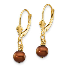 14k 5-6mm Brown Semi-round Freshwater Cultured Pearl Dangle Leverback Earrings