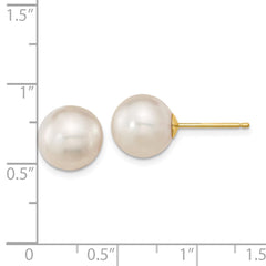 14k 10-11mm White Round South Sea Saltwater Cultured Pearl Post Earrings