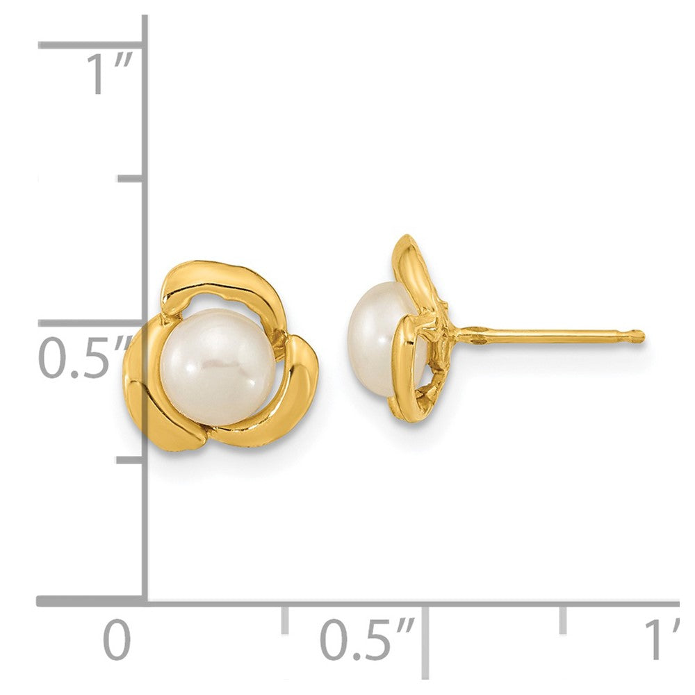 14k 5-6mm White Button Freshwater Cultured Pearl Post Earrings - 4