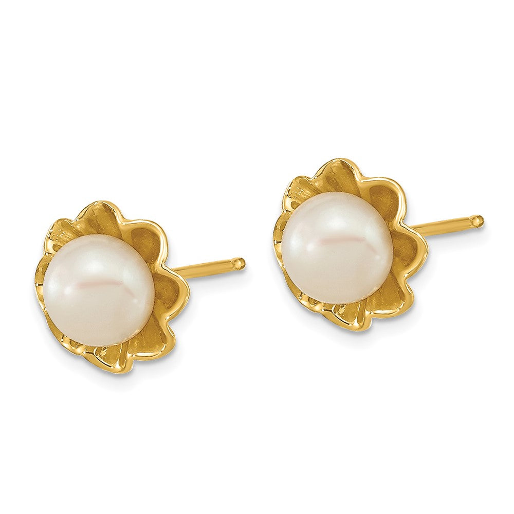 14k 5-6mm White Button Freshwater Cultured Pearl Post Earrings - 2