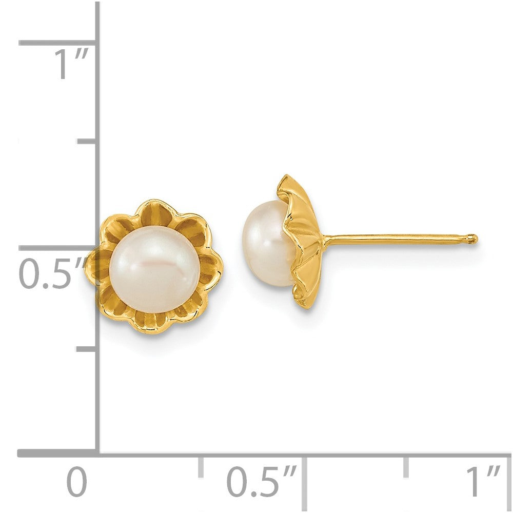 14k 5-6mm White Button Freshwater Cultured Pearl Post Earrings - 2