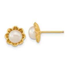 14k 5-6mm White Button Freshwater Cultured Pearl Post Earrings - 2