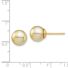 14k 9-10mm Round Golden South Sea Saltwater Cultured Pearl Post Earrings