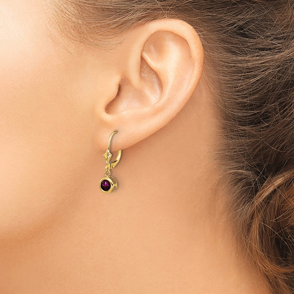 14k 5mm Rhodolite Garnet Leverback Earrings