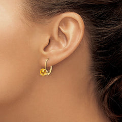 14k 6mm Citrine Leverback Earrings
