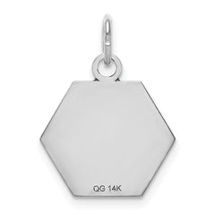 14k White Gold 15mm Hexagon Red Enameled Medical Jewelry Pendant