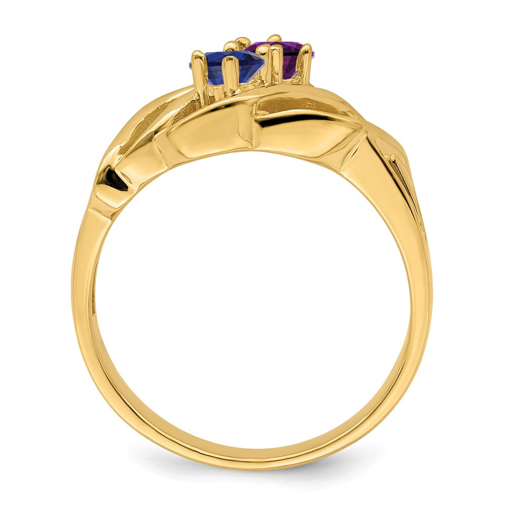 14k Family Jewelry Ring - 19