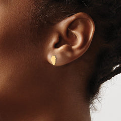 14KY Illinois State Earrings