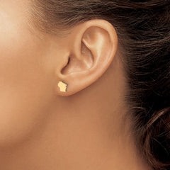 14KY Wisconsin State Earrings