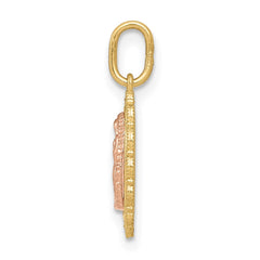 14k Two-tone Guadalupe Pendant