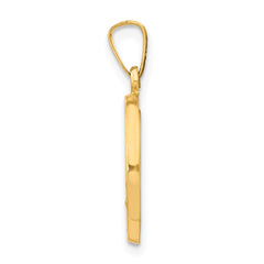 14k Polished and Satin Miraculous Medal Hollow Pendant