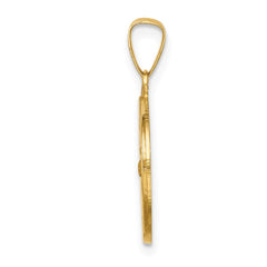14k Polished and Satin St Francis Medal Hollow Pendant - 3