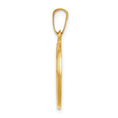 14k Polished and Satin Holy Communion Medal Hollow Pendant