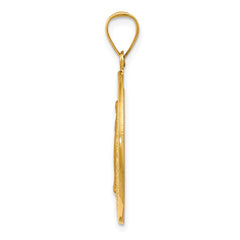 14k Polished and Satin Hollow Spanish Miraculous Medal Pendant