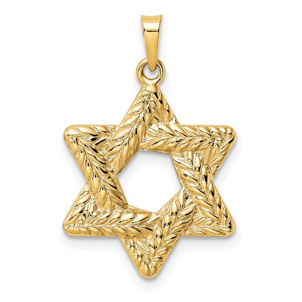 14k Polished and Textured Solid Star of David Pendant - 2