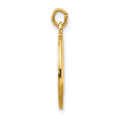 14k Saint Luke Medal Charm