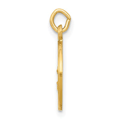 14k Our Lady Of The Assumption Medal Charm