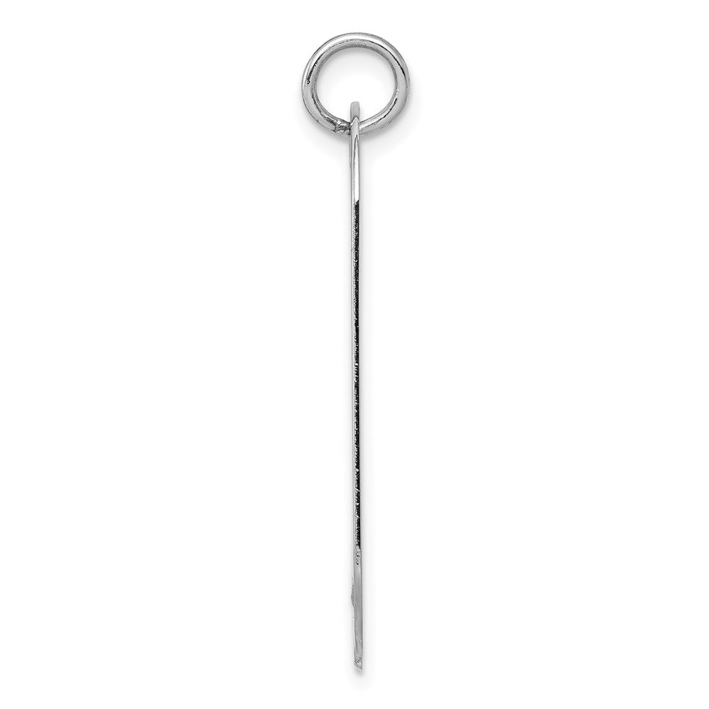 14k White Gold Plain .013 Gauge Engravable Dog Tag w/Notch Disc - 3