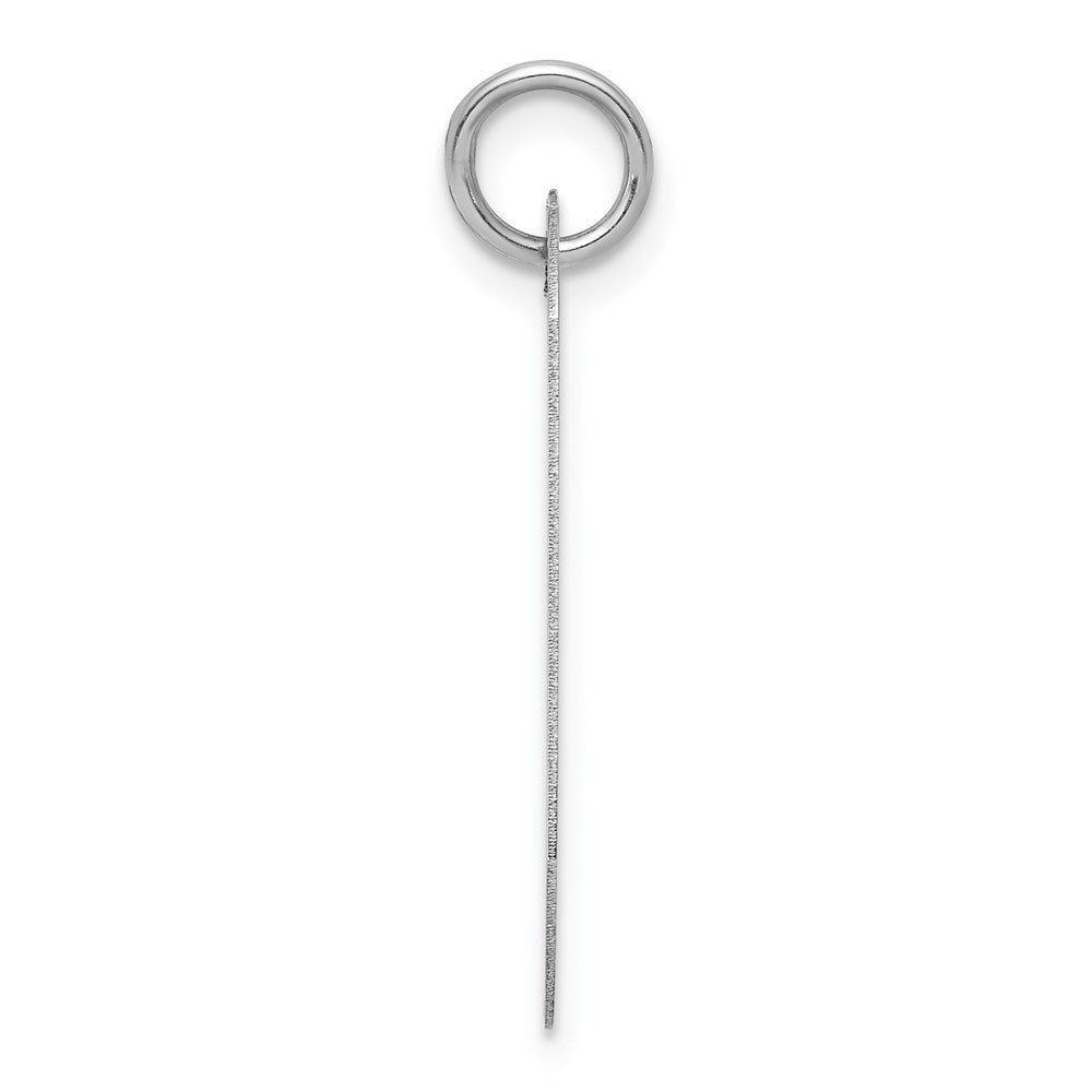 14k White Gold Plain .018 Gauge Engraveable Dog Tag Disc Charm - 3