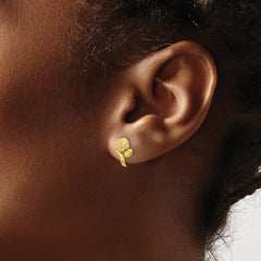 14K Polished Rose Post Earrings - 2